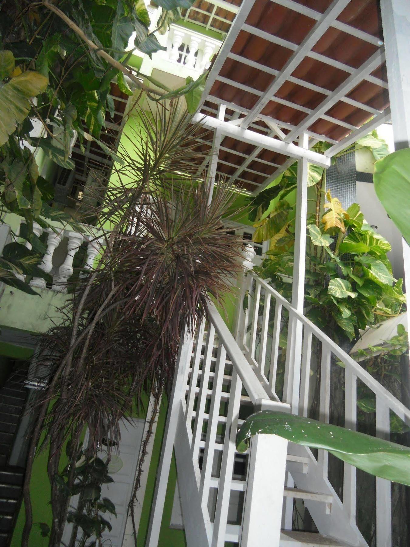 Hotel Pousada Papaya Verde Salvador Eksteriør bilde