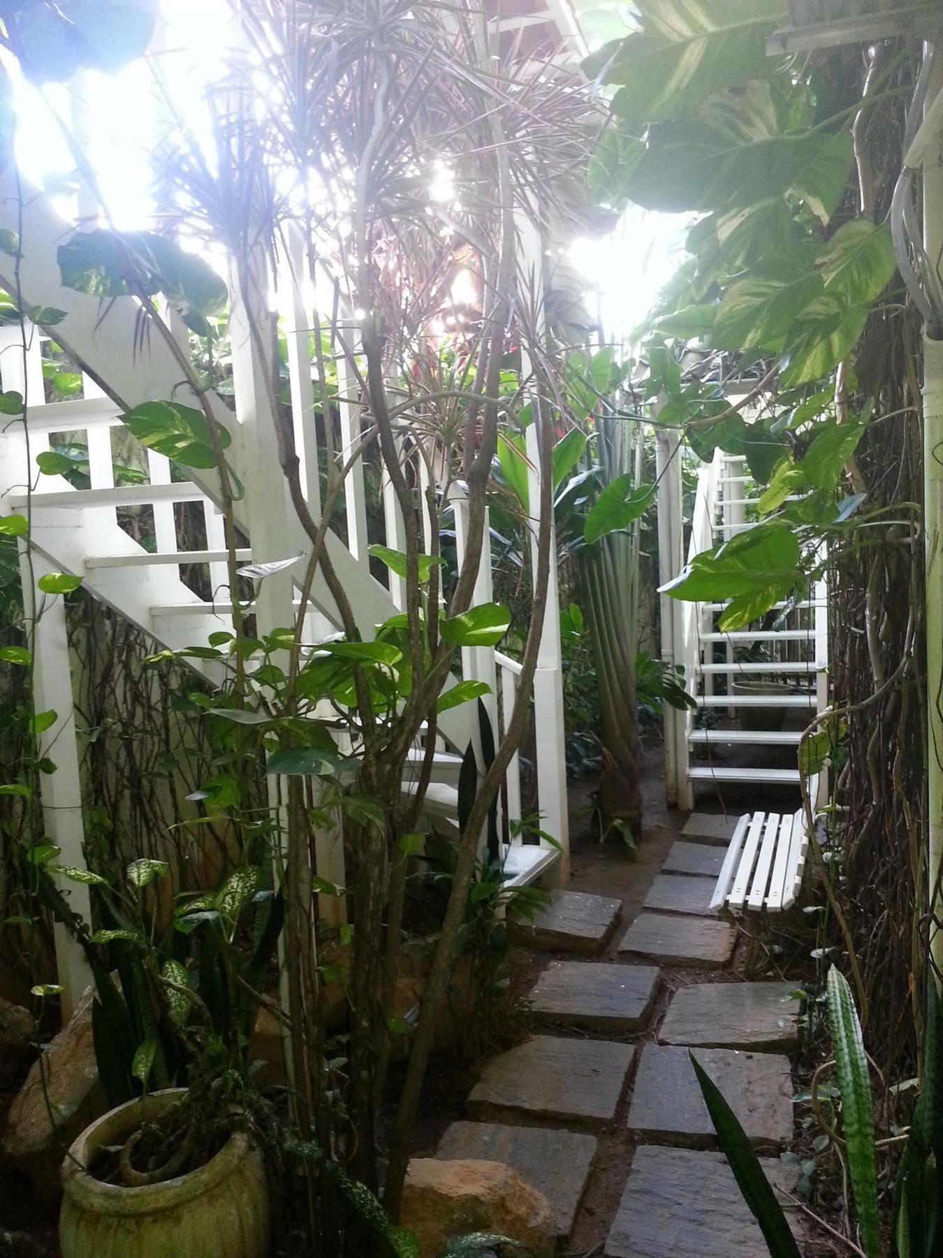 Hotel Pousada Papaya Verde Salvador Eksteriør bilde