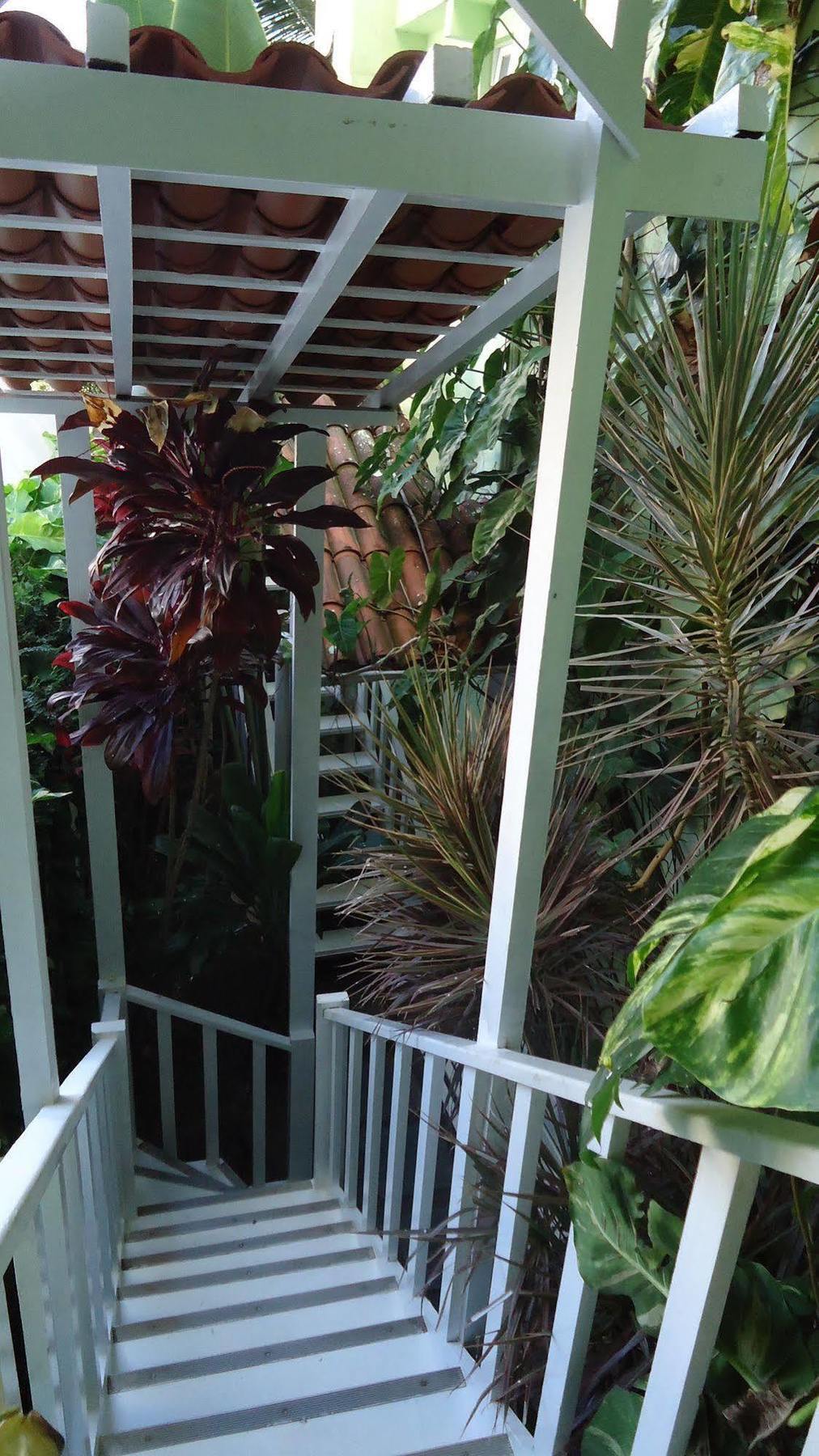 Hotel Pousada Papaya Verde Salvador Eksteriør bilde